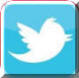 Logo Button of the Social Media, Twitter, pointing to its page of HRODC Postgraduate Training Institute: https://twitter.com/HRODC_Institute.